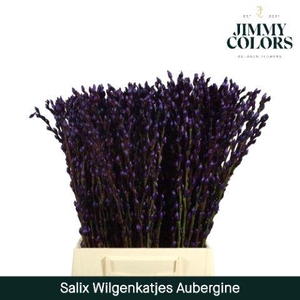 Salix Katjes L50 Aubergine