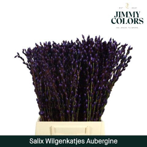 <h4>Salix Katjes L50 Aubergine</h4>