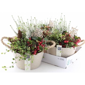 ARR TUINPLANTEN