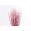 Berk Klb Pink Light