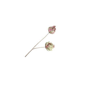 Artichoke Branch Red Green LV330158RGR