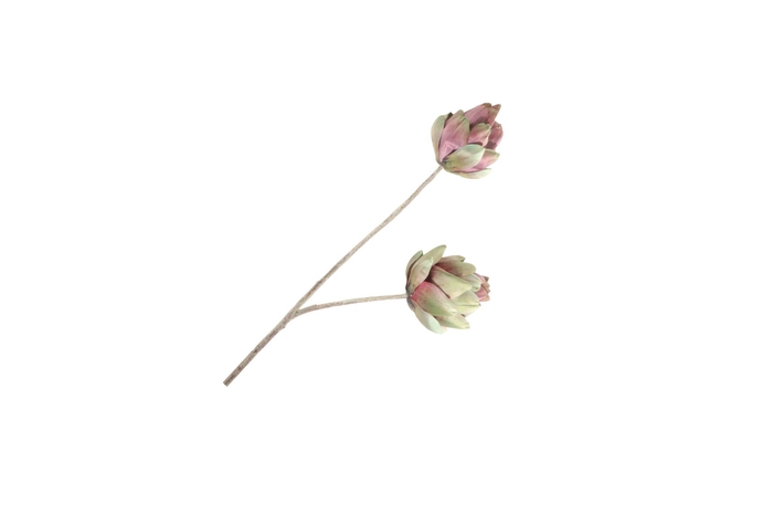 <h4>Artichoke Branch Red Green LV330158RGR</h4>