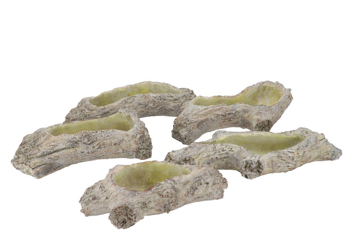 Nature Bark Scottish Brown Planter 30x13x8cm