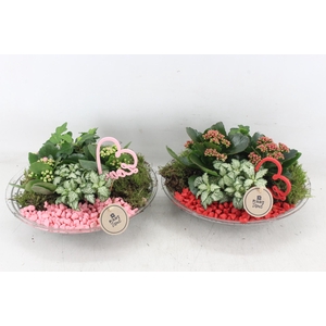 arr2 PL - Glas schaal 27cm - rood/roze