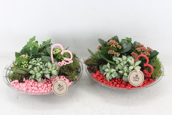 <h4>arr2 PL - Glas schaal 27cm - rood/roze</h4>