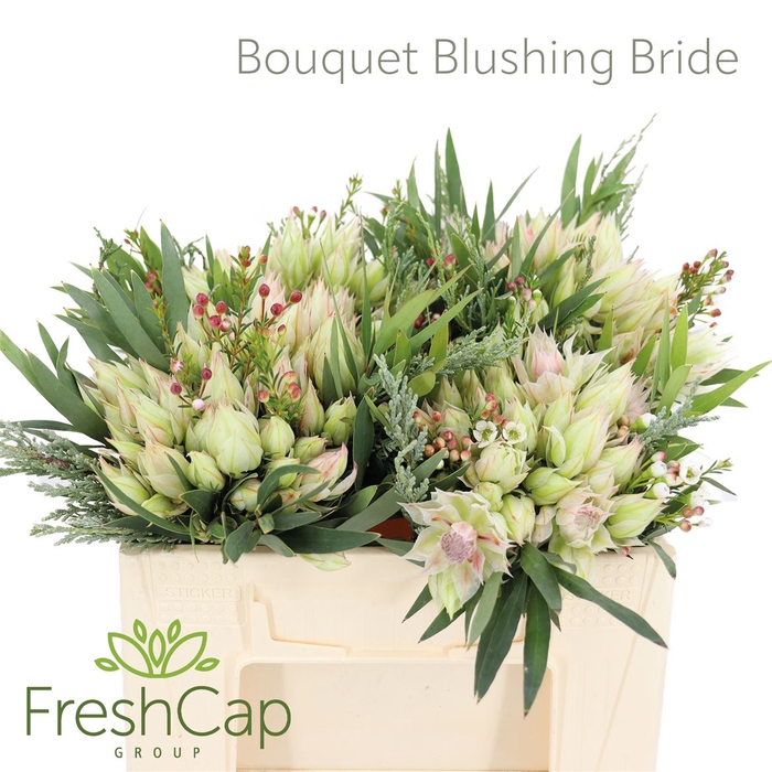<h4>Bouquet Blushing Bride</h4>