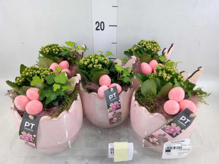 <h4>Arr. Pasen L%</h4>