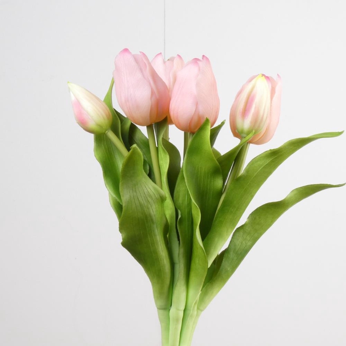 <h4>AF Tulip Bundle x7 L31cm L.Pin</h4>