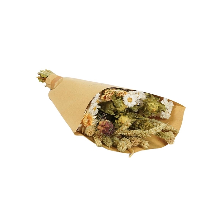 <h4>Droogbloem Boeket Field 35cm</h4>