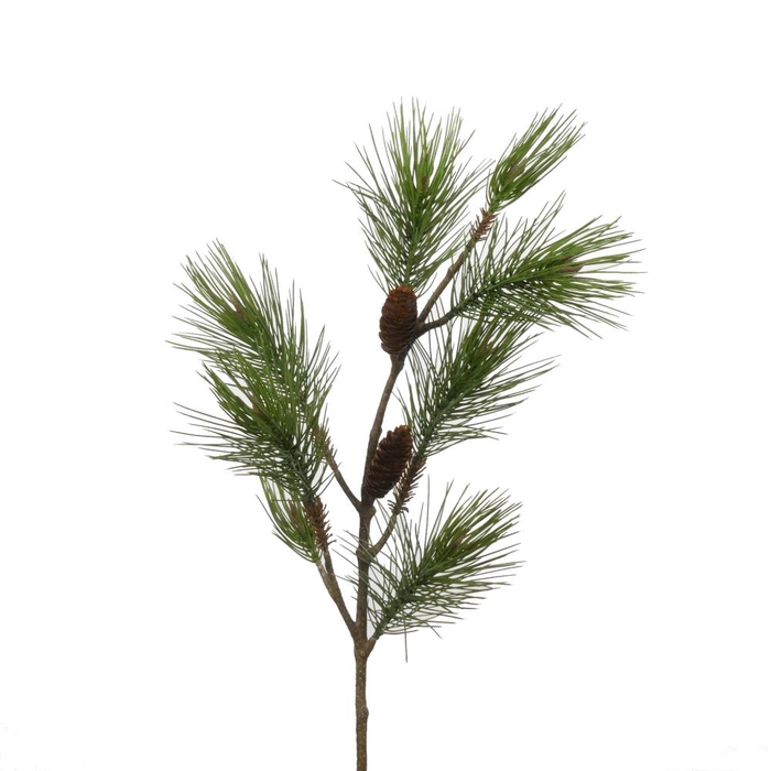 AF Pinus L97cm Green