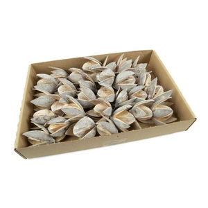 Wilde lelie o/dr. stone washed wit3