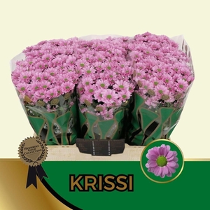 CHR S AAA KRISSI