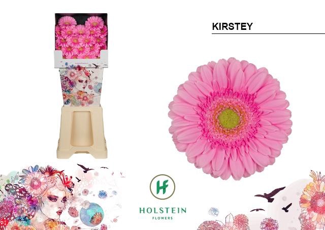 <h4>Ge Mi Kirstey</h4>