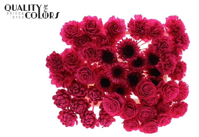 Shola Flower Mix on stem Cerise