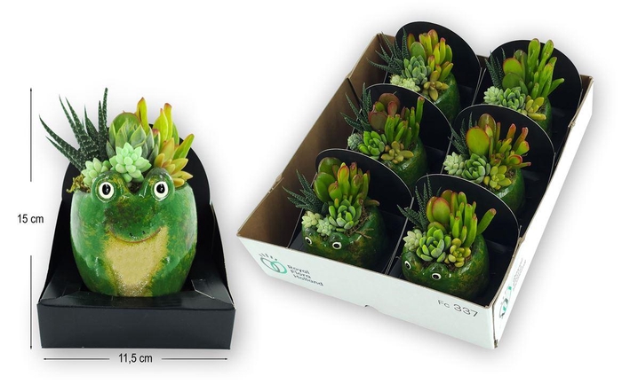 <h4>Arrangementen succulenten 6%</h4>