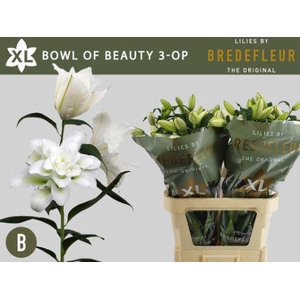 LI OR DU BO OF BEAUT 3+