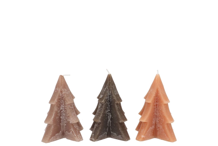 <h4>Candle Frosty Pine Tree Woods Brown Mix 6x8cm Ass</h4>