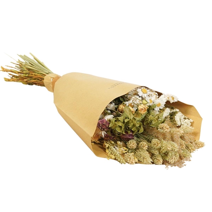 <h4>Droogbloem Boeket Field 50cm</h4>