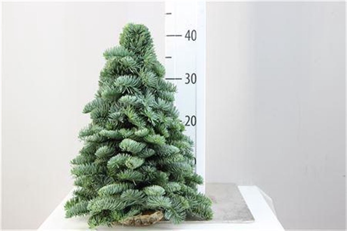 <h4>Deco Kerstboom Nobilis 40cm</h4>