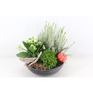 arr4 Outdoor VL - Kunststof black 3pl