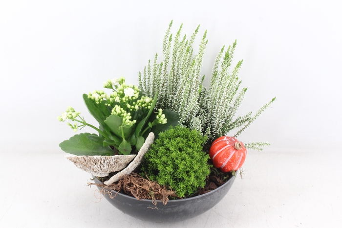 <h4>arr4 Outdoor VL - Kunststof black 3pl</h4>