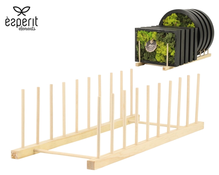 <h4>H0000: Hardwaress Moss Art display</h4>