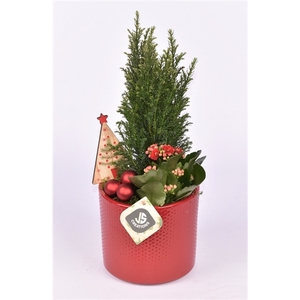 Keramiek pot rood 14cm