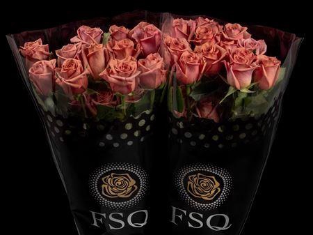 <h4>R Gr Barista Box</h4>