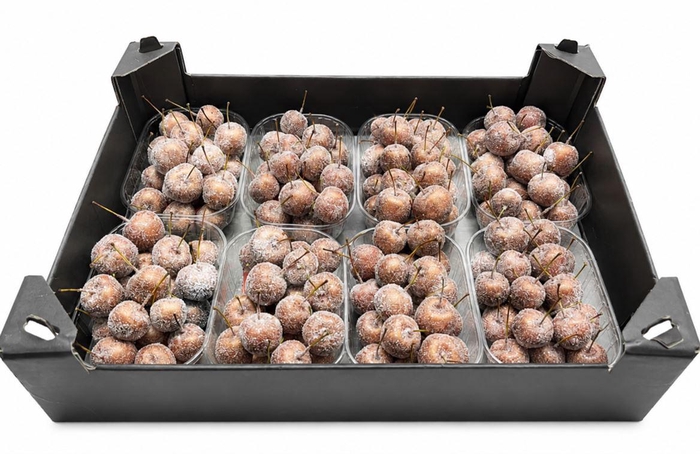 <h4>Waxmalus Gl Koper</h4>