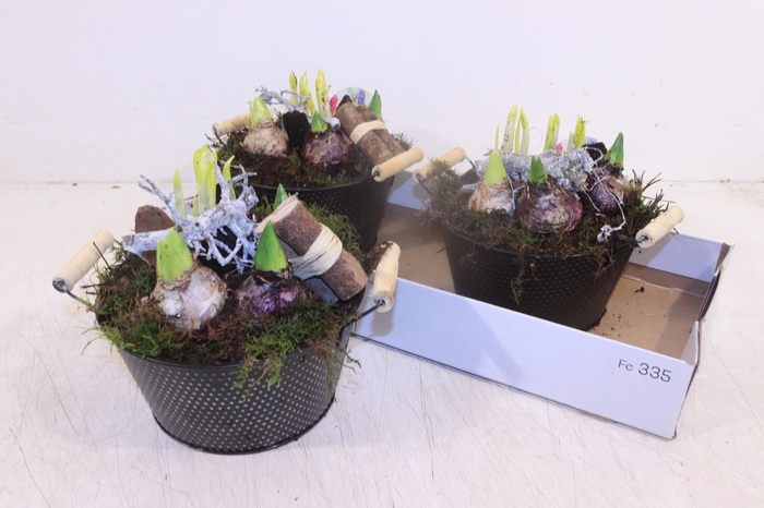 <h4>ARR BOL KNOLGEWAS</h4>