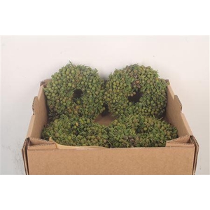 Krans Juniperis Berry Green 15cm