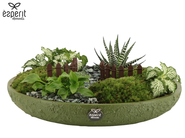 <h4>90765: Landscape arrangement</h4>