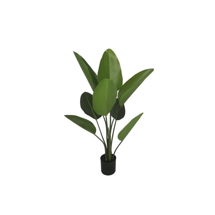 <h4>Silk Plant Strelitzia H120D75</h4>