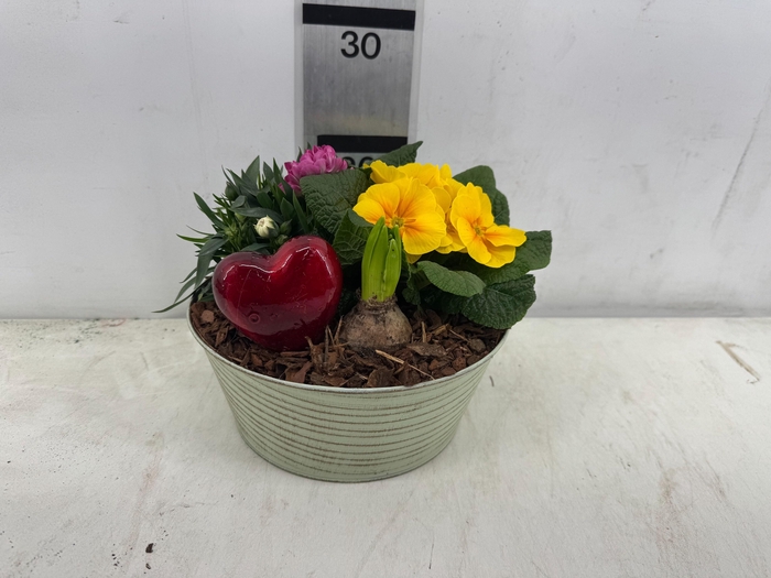 <h4>ARR PL IN SCHAAL</h4>