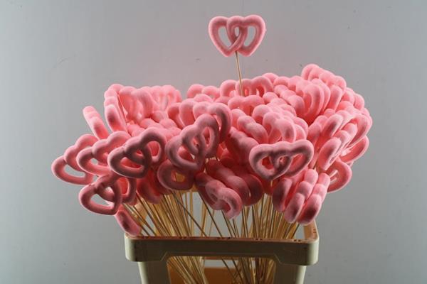 <h4>Bijsteker Dubbel Hart Rose H%</h4>