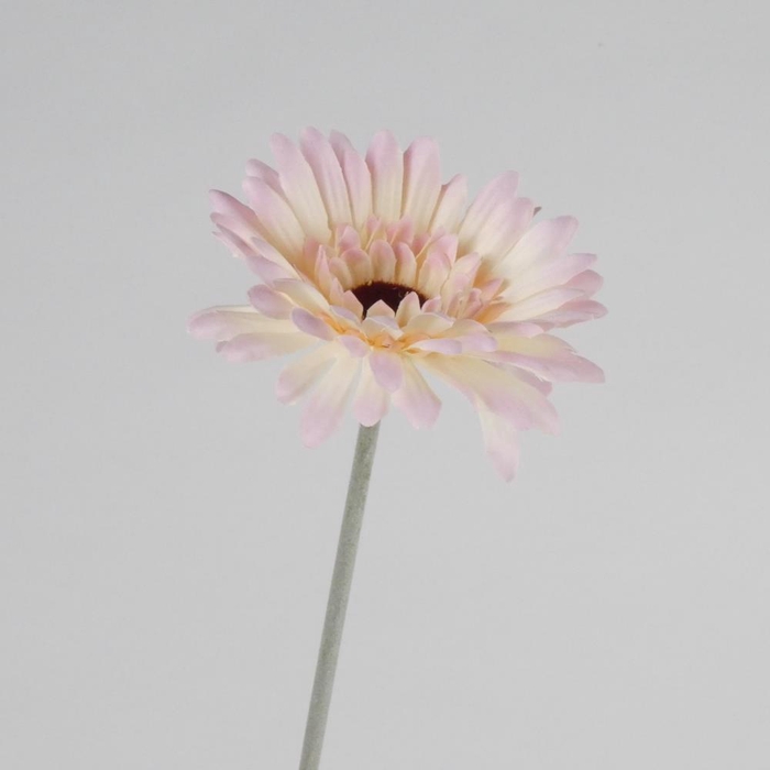 <h4>AF Gerbera L58cm L.Pink</h4>