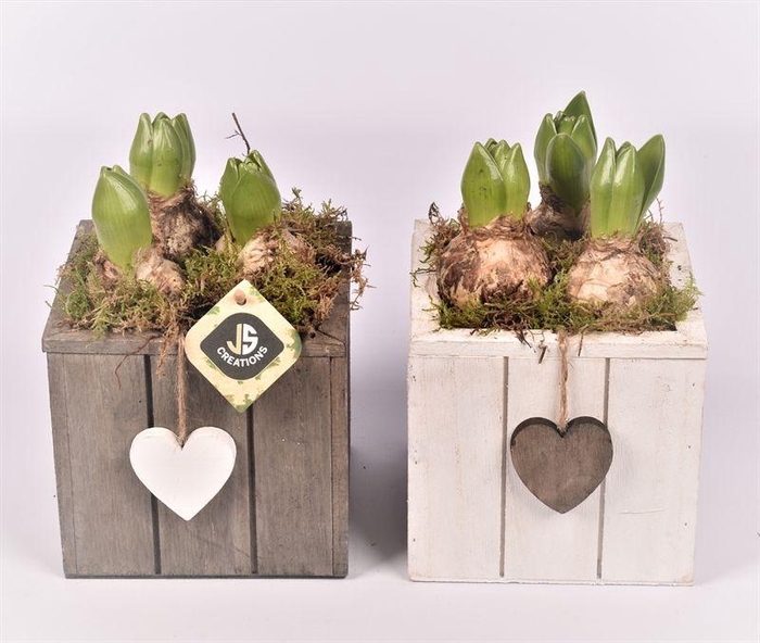 <h4>Hout vierkant hart gr/wit 15x15cm</h4>