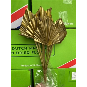 DRY PALM SPEAR MED 5PC GOLD BUNCH
