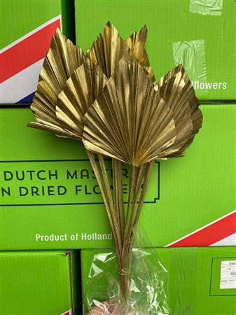 <h4>DRY PALM SPEAR MED 5PC GOLD BUNCH</h4>