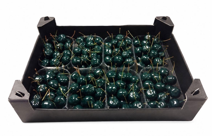 <h4>WAX APPEL H%</h4>