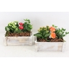 arr2 PL - Hout rechth. wit x4 - oranje/wit