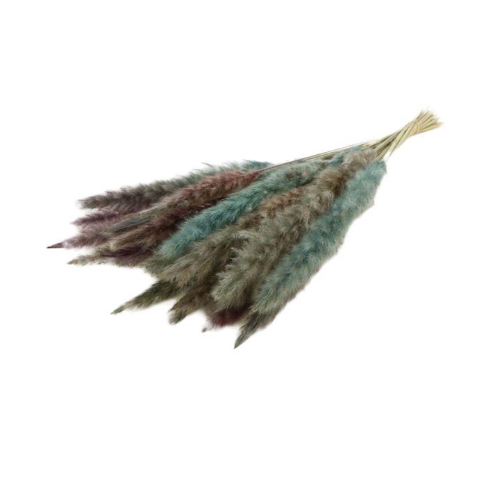 <h4>Bunch Fluffy Pampas Sleeved 70g L70</h4>