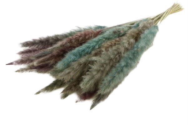 Bunch Fluffy Pampas Sleeved 70g L70