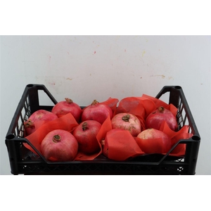 Sier Granaatappel Red X9 P Box