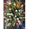 HYA/TULP MIX
