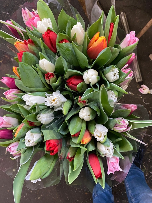 HYA/TULP MIX
