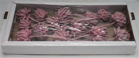 Artichoke Erika Frosted