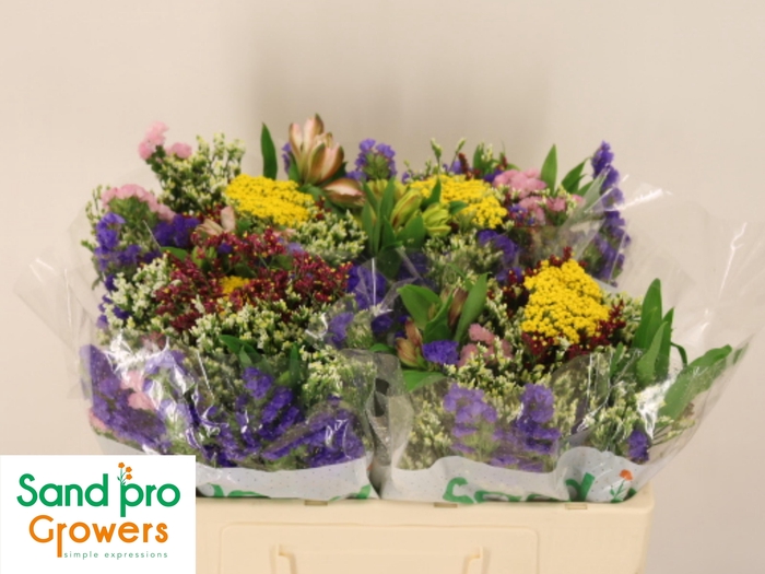 <h4>GEM ZOMERBOEKET</h4>