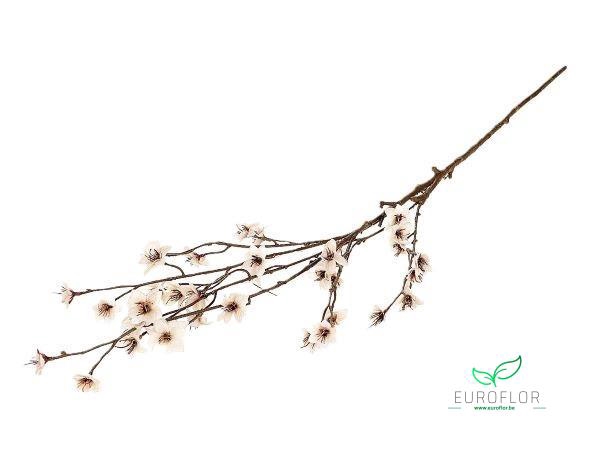 SILK FLOWERS - BLOSSOM ALMONDE OFF WHTE 111CM