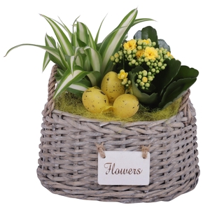Easter Arr. Indoor Willow Basket Oval Flowersign Ø20cm 2PP